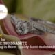 moissanite jeweler seo case study