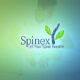Spinex Physiotherapy Ad Campaign